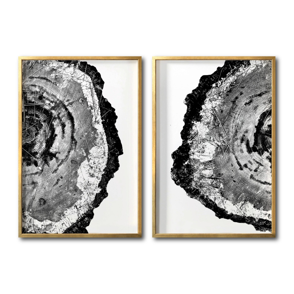Juego abstracto negro y blanco cuadro decorativo codigo 034 A Y B-MD // MP
