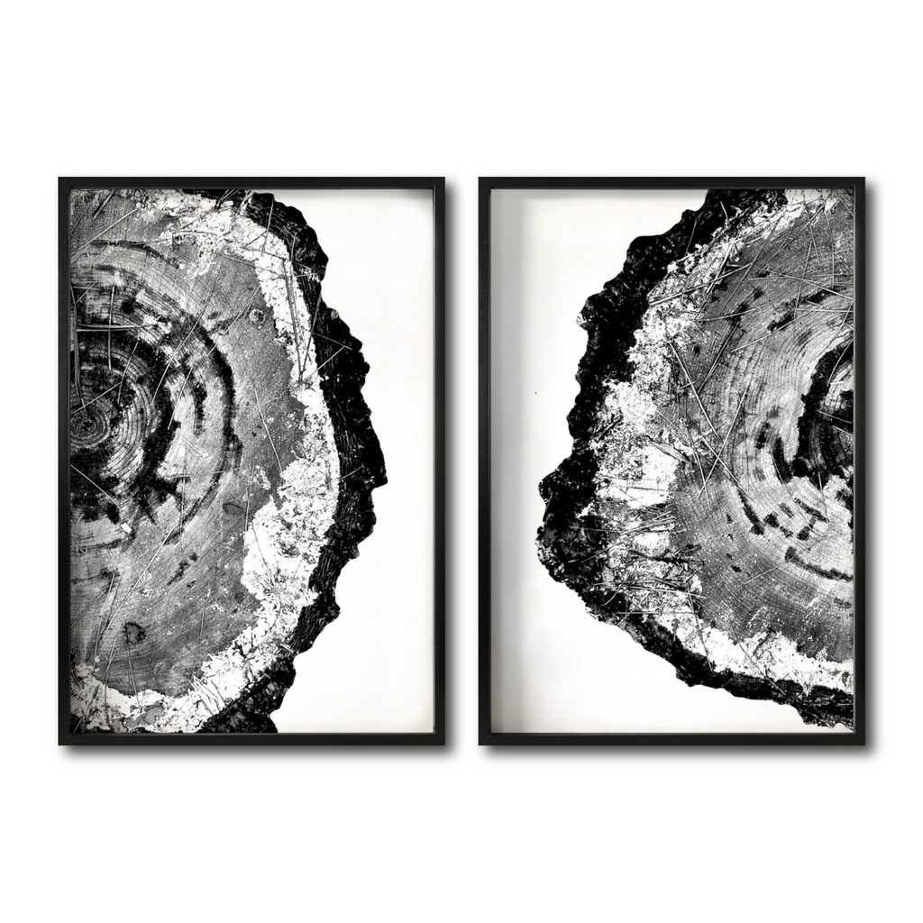 Juego abstracto negro y blanco cuadro decorativo codigo 034 A Y B-MN // MP