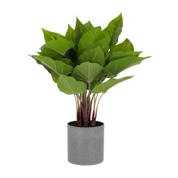 [AA5704] Anthurium planta artificial  de 50 cm con maceta de cemento